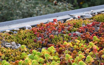 the cost of Pilsley green roof installation