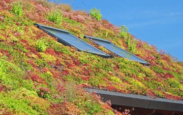 Pilsley living roof systems